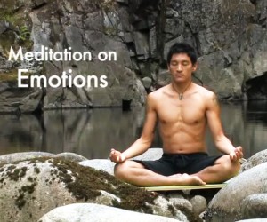 Meditate on Emotions